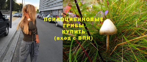 Альфа ПВП Осинники