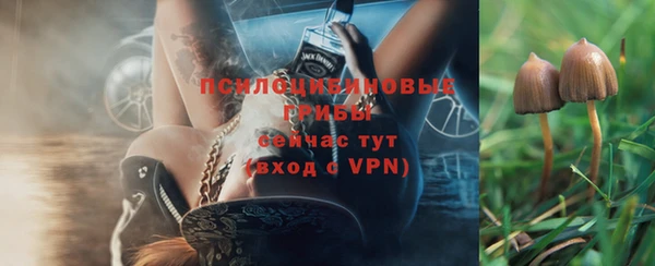 Альфа ПВП Осинники