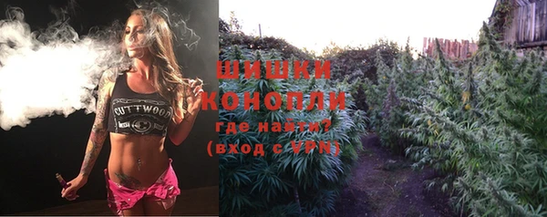 крисы Осташков