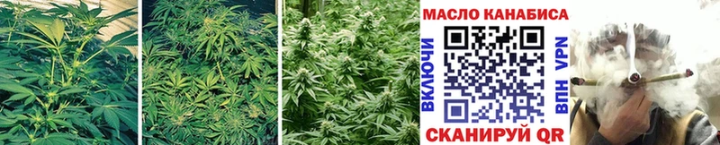 Купить  Ногинск  ТГК жижа 