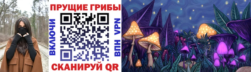 Купить закладки  Ногинск  Галлюциногенные грибы мицелий 